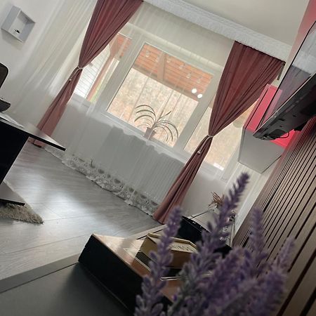 Aky Residence 슬래닉몰도바 외부 사진